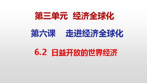 2022-2023学年高中政治统编版选择性必修一6-2日益开放的世界经济 课件(22张)