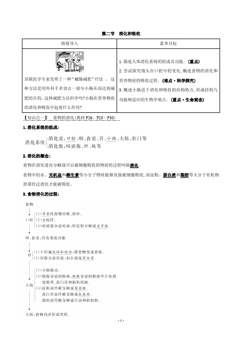 人教版生物七下2.2 消化和吸收 学案