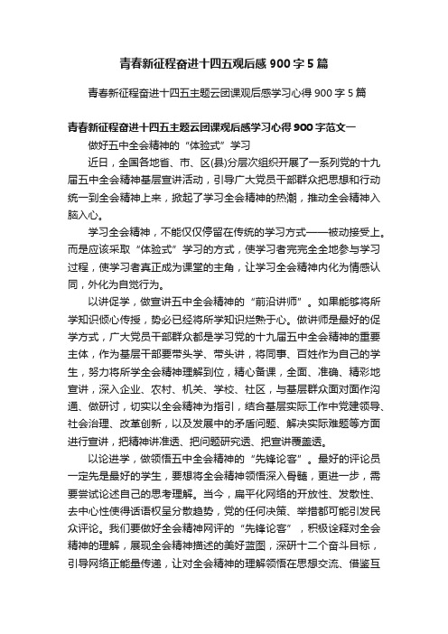 青春新征程奋进十四五观后感900字5篇