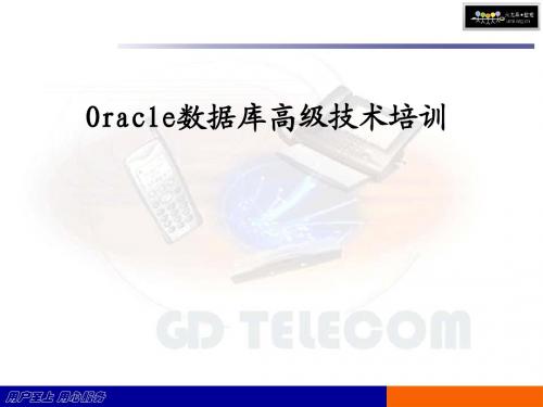 火龙果软件-oracle数据库集训之系统架构