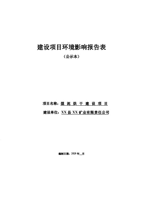 煤泥烘干建设项目建设项目环境影响报告表【模板】