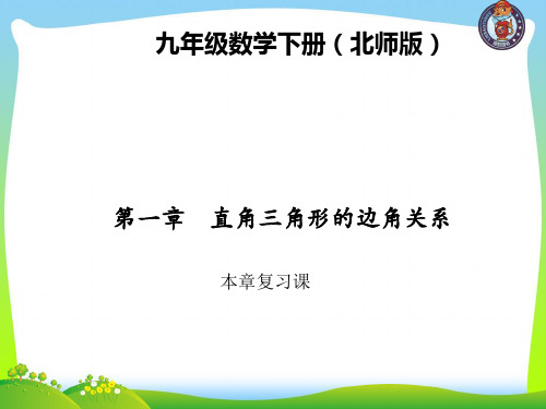 北师大版九年级数学下册第一章《本章复习课》公开课课件