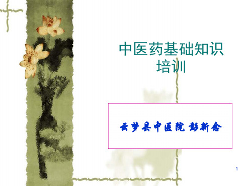 中医药基本知识ppt课件.ppt