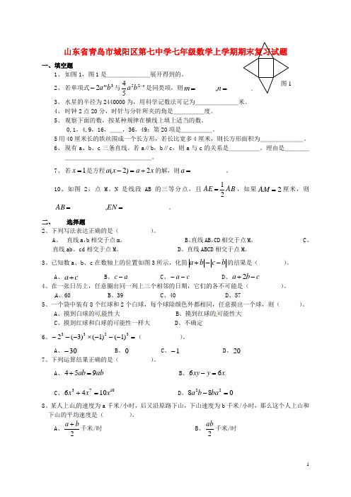 山东省青岛市城阳区第七中学七年级数学上学期期末复习试题(无答案) 北师大版