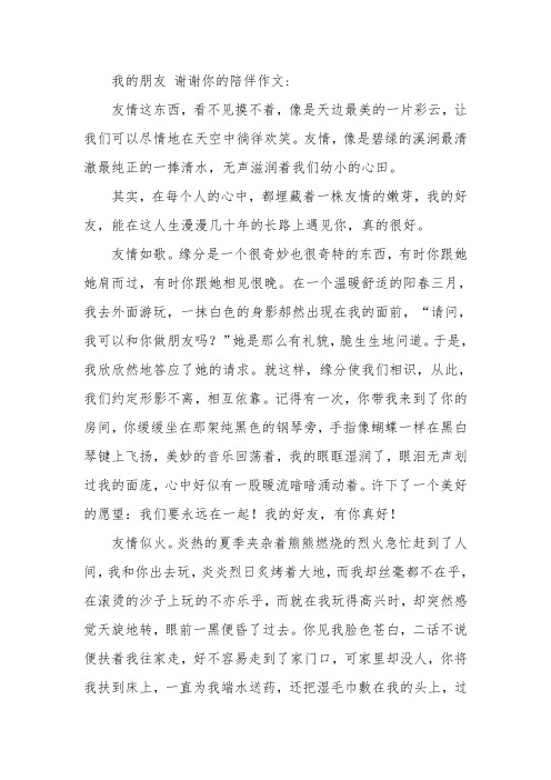 我的朋友 谢谢你的陪伴作文