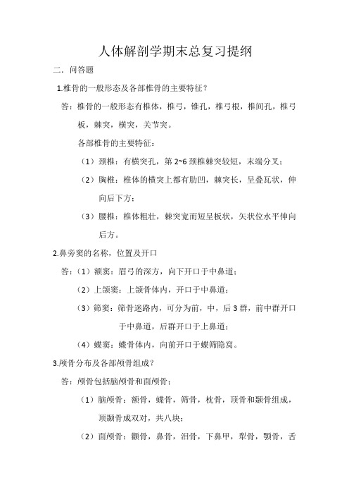 人体解剖学期末总复习提纲——问答题