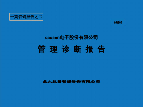 企业诊断-北大纵横—caosen电子股份有限公司管理诊断报告 精品