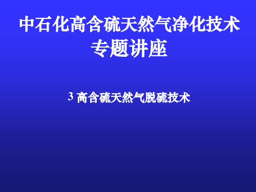 3高含硫天然气脱硫技术-ppt课件