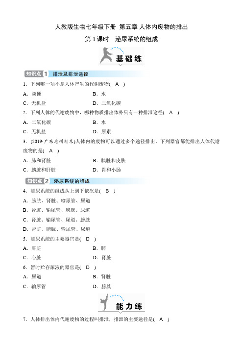 人教版生物七年级下册课时练  第五章 人体内废物的排出  第1课时 泌尿系统的组成