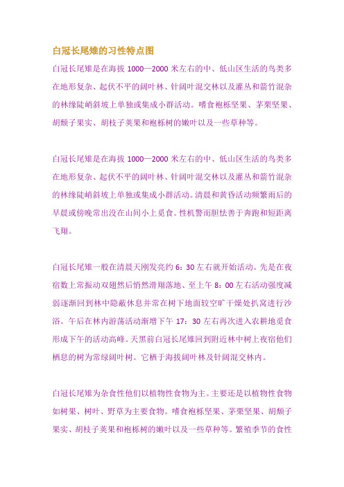 白冠长尾雉的习性特点图