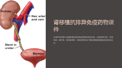 肾移植抗排异免疫药物课件