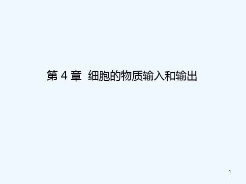 物质跨膜运输的实例和方式(1)-PPT课件