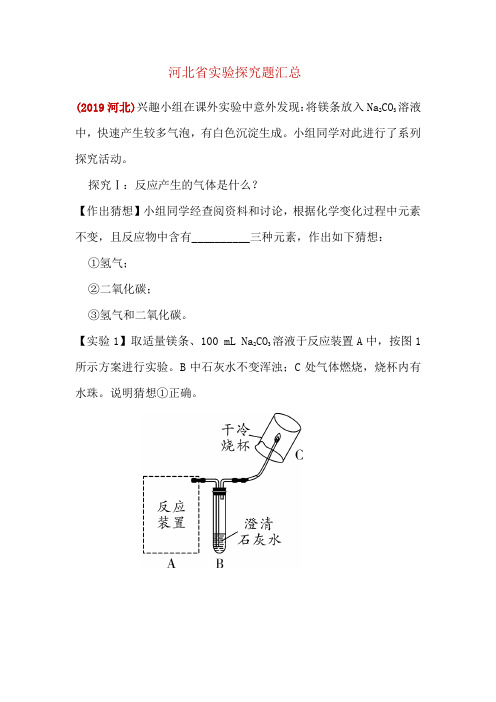 中考化学专题复习 河北近16年探究题汇总(无答案)