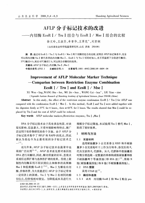 AFLP分子标记技术的改进——内切酶EcoRⅠ／TruⅠ组合与EcoRⅠ／MseⅠ组合的比较