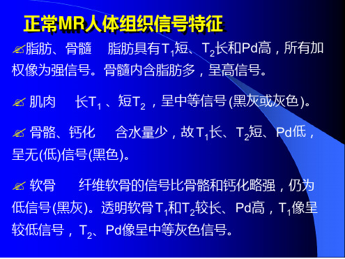 MRI人体组织信号特征.ppt