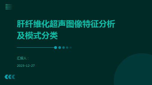 肝纤维化超声图像特征分析及模式分类