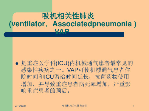 呼吸机相关性肺炎宣讲课件