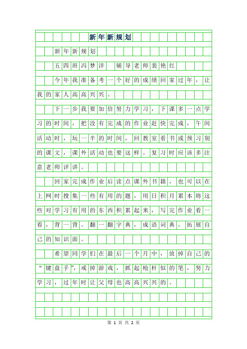 2019年小学生优秀记事作文-新年新规划