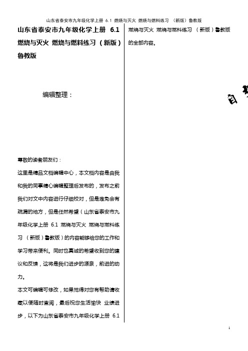 九年级化学上册 6.1 燃烧与灭火 燃烧与燃料练习 鲁教版(2021年整理)