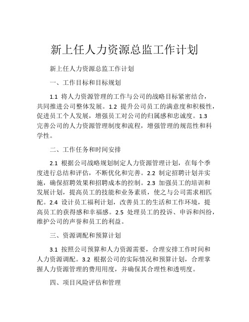 新上任人力资源总监工作计划