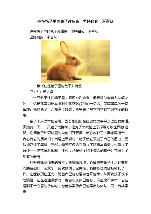 住在箱子里的兔子读后感：坚持自我，不盲从