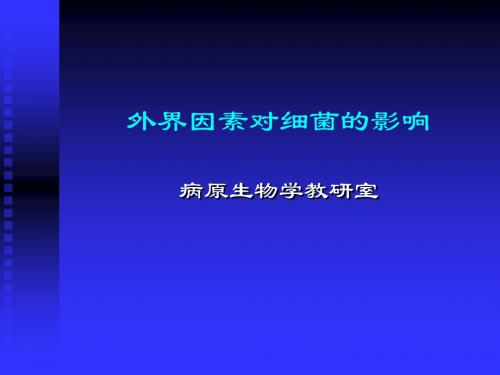 外界因素对细菌的影响病原生物学教研室