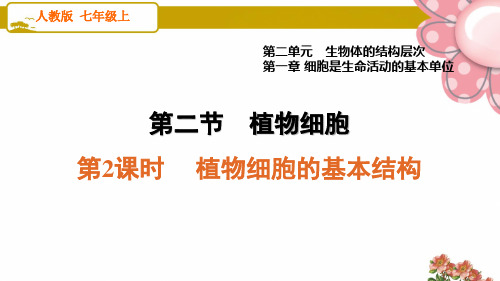 人教版七年级生物上册2.1.2.2 植物细胞的基本结构