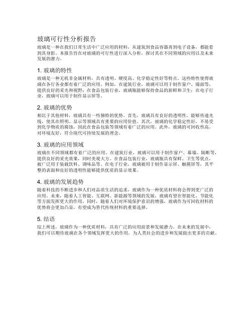 玻璃可行性分析报告