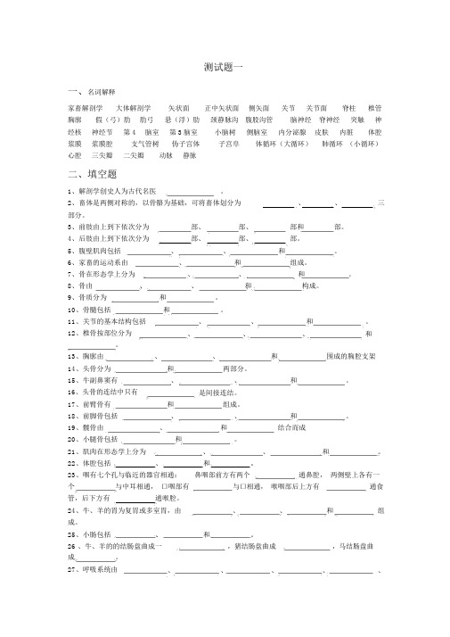 家畜解剖测试题一汇总