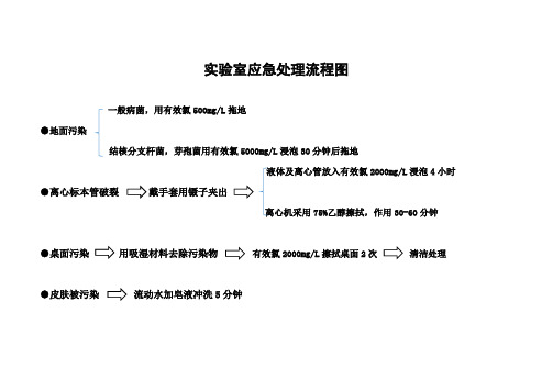 实验室应急处理流程图