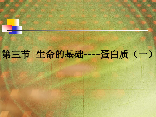 化学选修一1.3《生命的基础—蛋白质(一)》课件