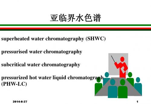 亚临界水色谱