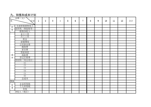 9、销售和成本计划