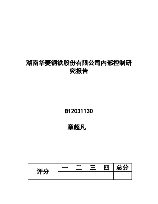 华菱钢铁股份有限公司内部控制报告