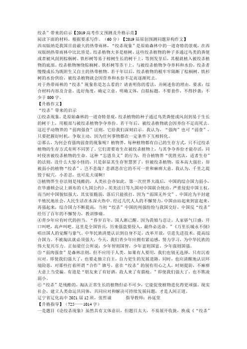2019高考语文优秀作文之绞杀”带来的启示