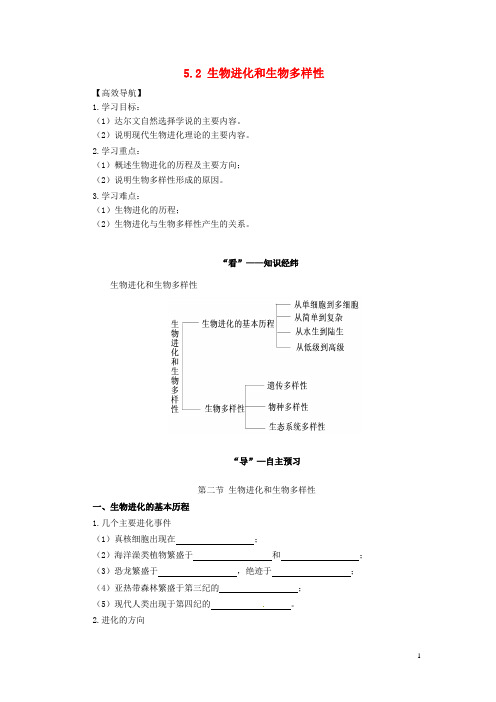 高中物理 5.2 生物进化和生物多样性学案 苏教版必修2(1)