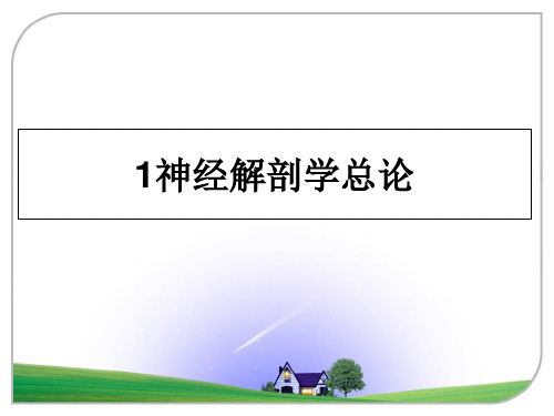 最新1神经解剖学总论ppt课件