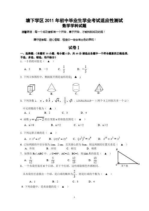 2011年初中毕业考适应性测试数学学科试题(含答案)