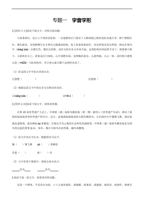 2021年中考语文二轮专题复习训练：专题1  字音字形