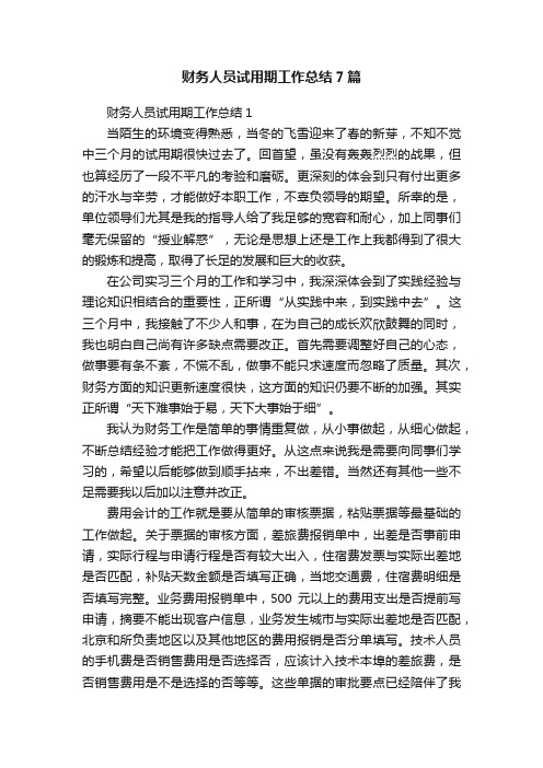 财务人员试用期工作总结7篇