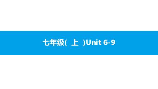 安徽省2020届中考英语大一轮基础梳理(课件+习题)  人教版：七年级(  上  )Unit 6-9