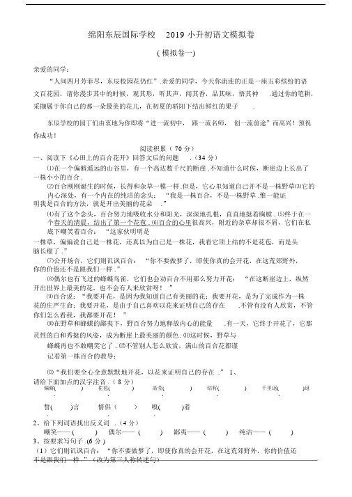 最新绵阳东辰国际学校2019小升初语文模拟卷.docx