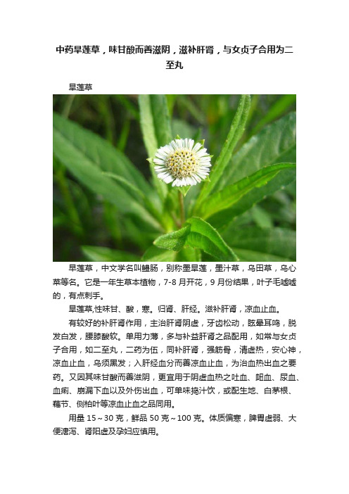 中药旱莲草，味甘酸而善滋阴，滋补肝肾，与女贞子合用为二至丸