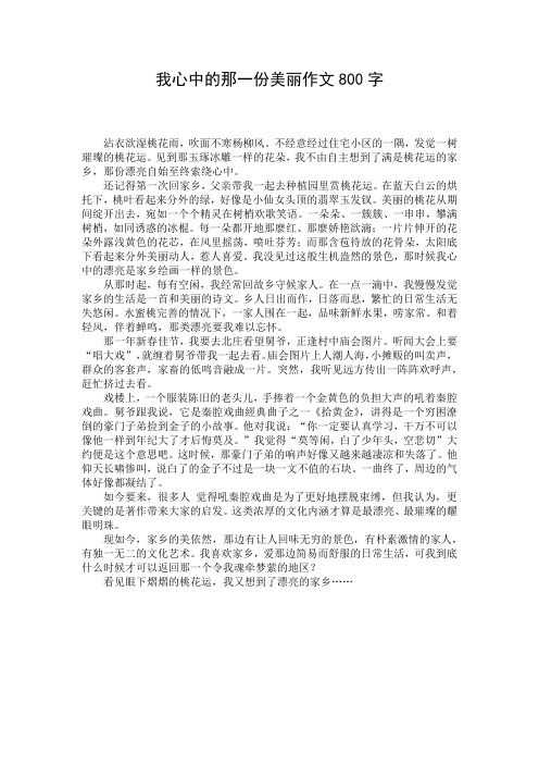 我心中的那一份美丽作文800字