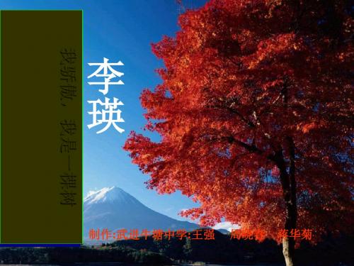 我骄傲,我是一棵树全面版