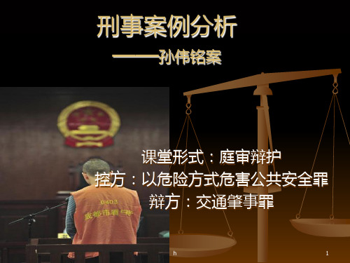 刑事案例分析——孙伟铭案