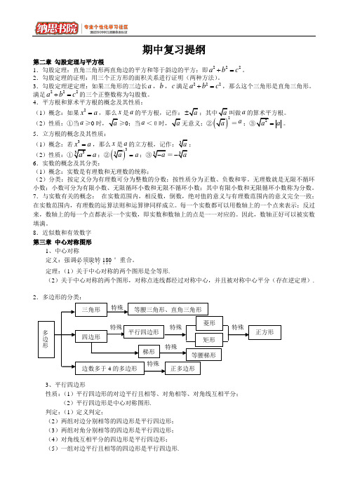 期中复习提纲(八年级)