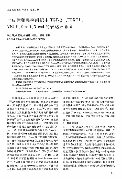 上皮性卵巢癌组织中TGF-β、FOXQ1、VEGF、E-cad、N—cad的表达及意义