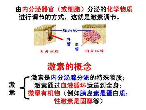 _第2章通过激素的调节ppt