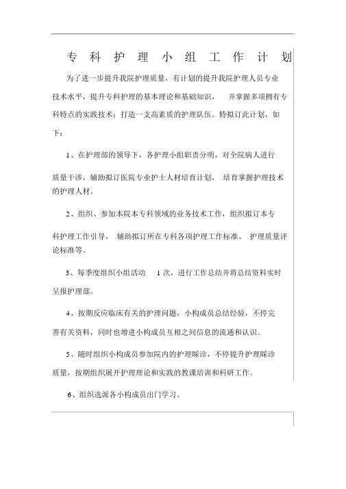 专科护理小组计划